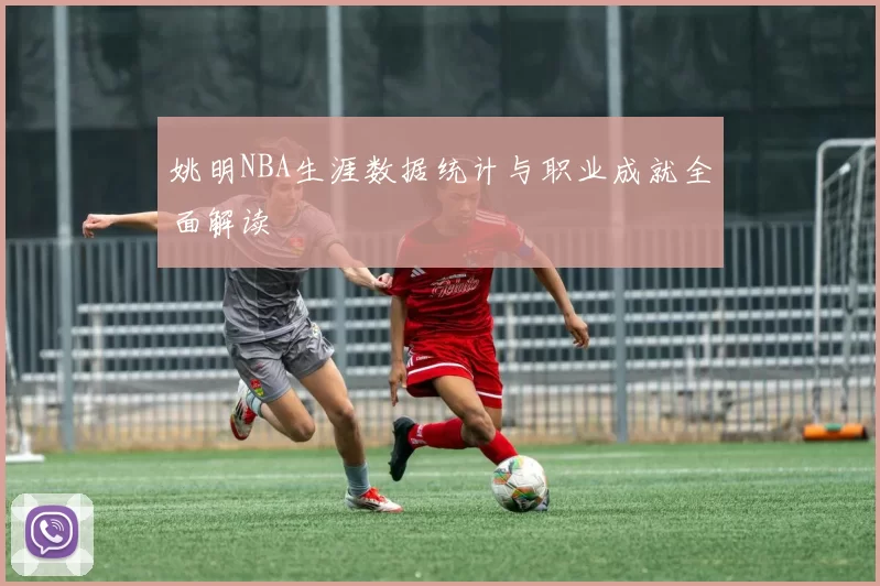 姚明NBA生涯数据统计与职业成就全面解读