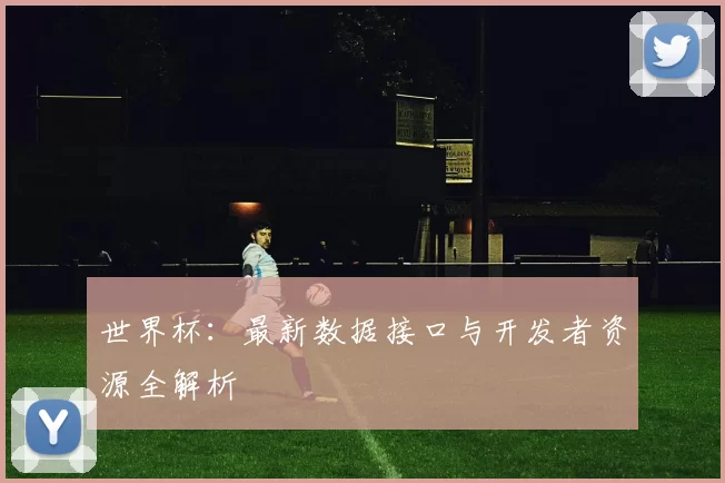 世界杯：最新数据接口与开发者资源全解析