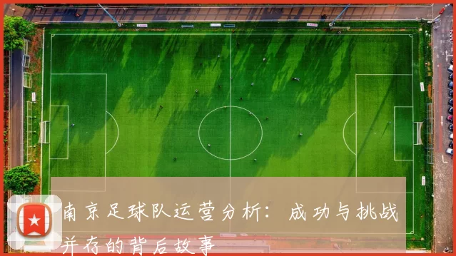 南京足球队运营分析：成功与挑战并存的背后故事