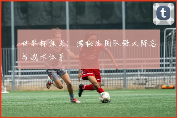 世界杯焦点：揭秘法国队强大阵容与战术体系