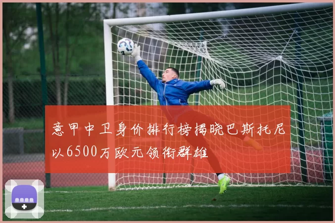 意甲中卫身价排行榜揭晓巴斯托尼以6500万欧元领衔群雄