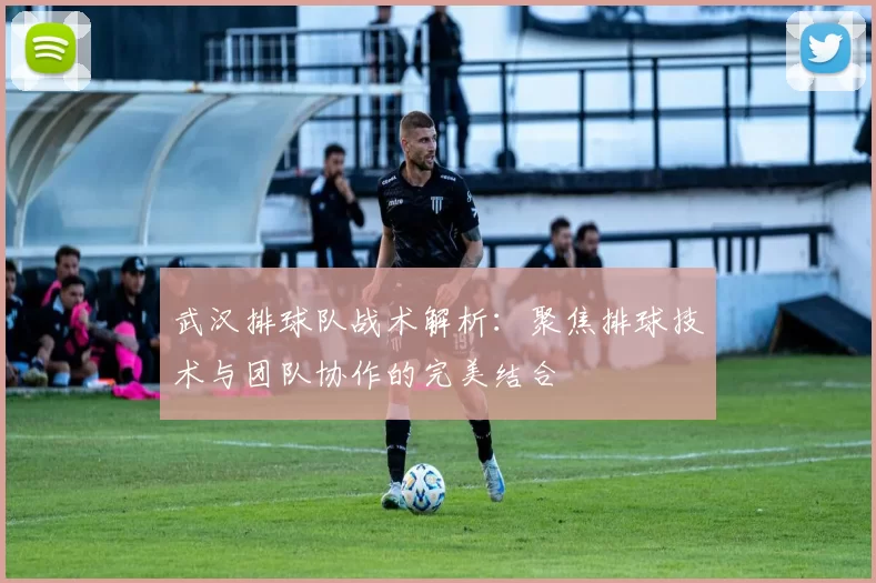 武汉排球队战术解析：聚焦排球技术与团队协作的完美结合