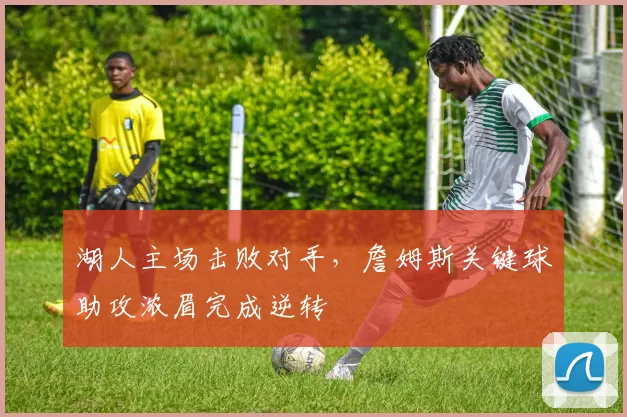 湖人主场击败对手，詹姆斯关键球助攻浓眉完成逆转