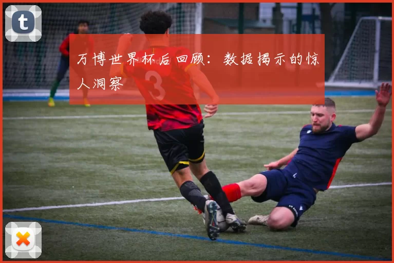 万博世界杯后回顾：数据揭示的惊人洞察