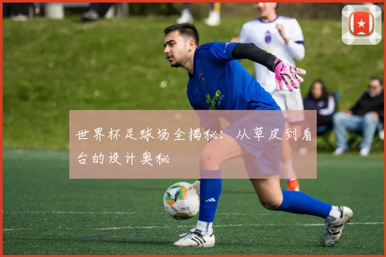 世界杯足球场全揭秘：从草皮到看台的设计奥秘
