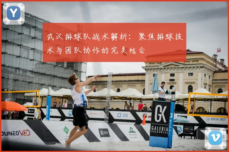 武汉排球队战术解析：聚焦排球技术与团队协作的完美结合