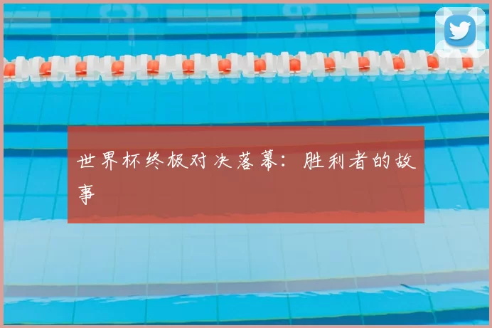 世界杯终极对决落幕：胜利者的故事