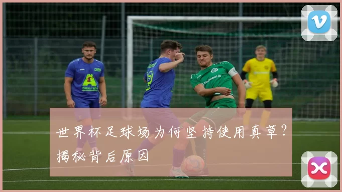 世界杯足球场为何坚持使用真草？揭秘背后原因